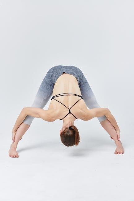 core workout program pdf