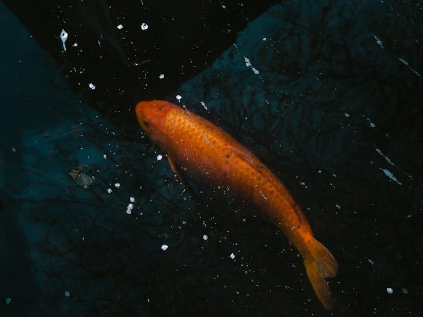 what of this goldfish would you wish pdf