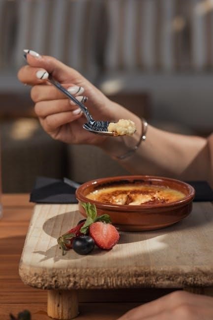 spoon theory pdf