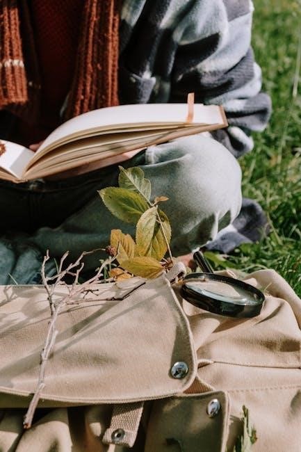 wild cheryl strayed book pdf