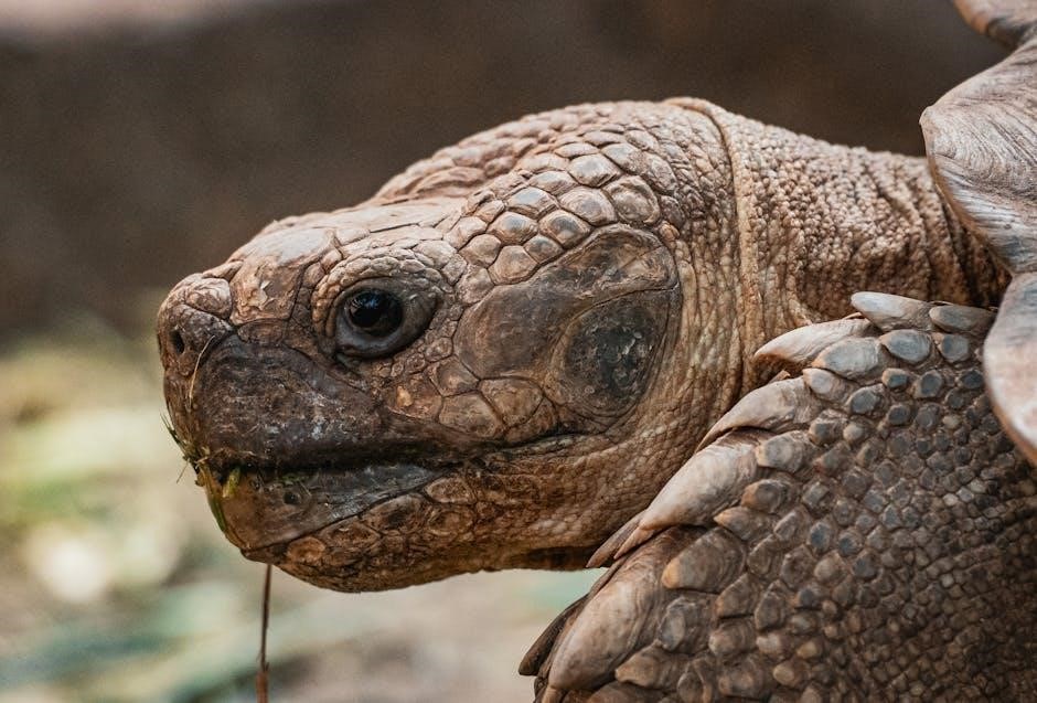 the nameless luna pdf free download